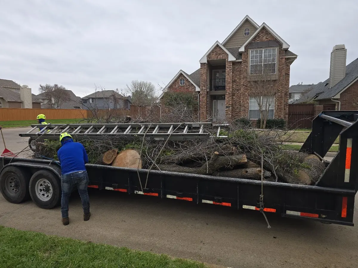 Expert Tree Fertilization with proper safety equipment in Graniteville